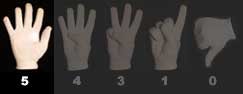 5 finger rating of 5